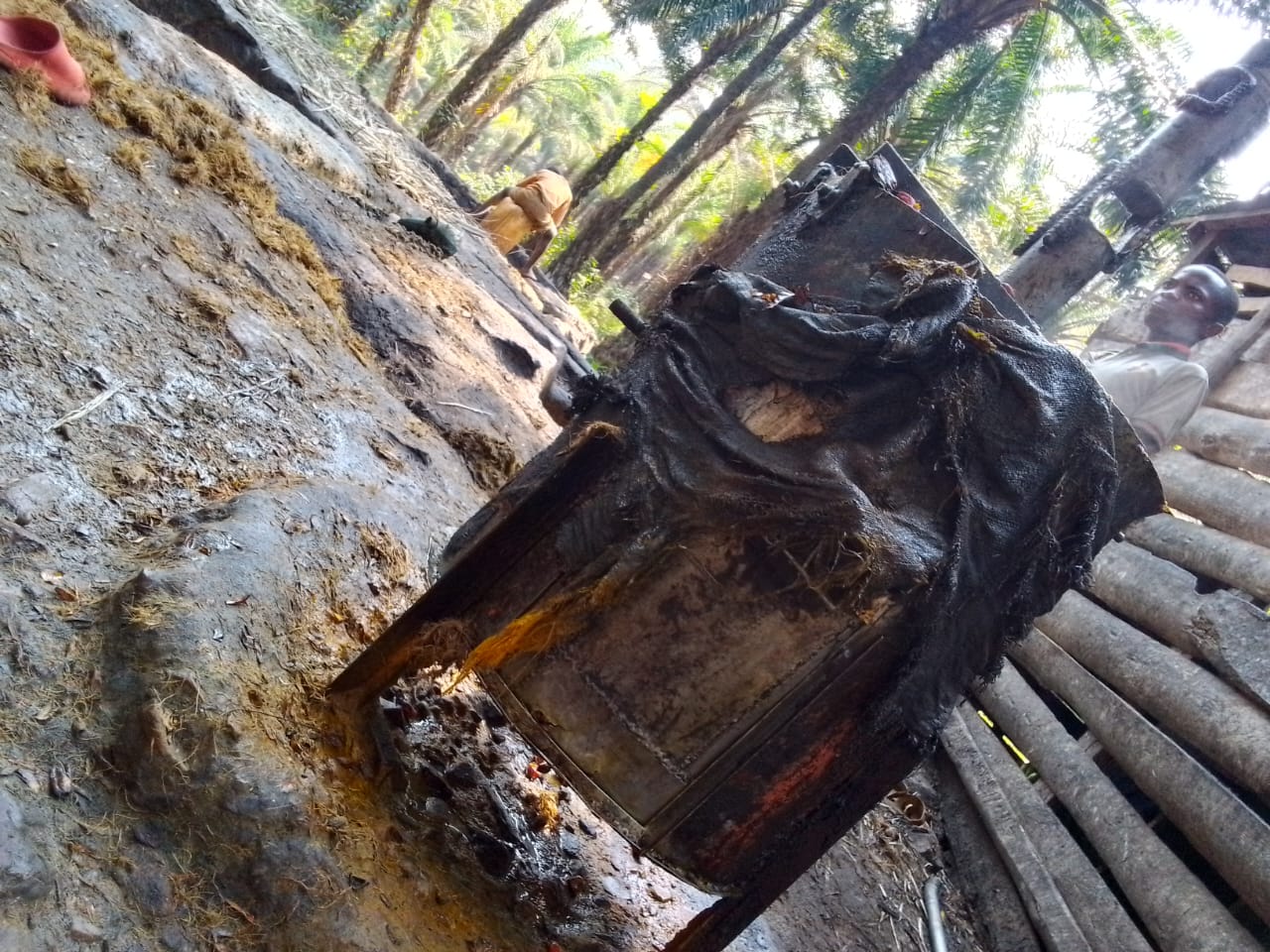 Field research in Rumonge